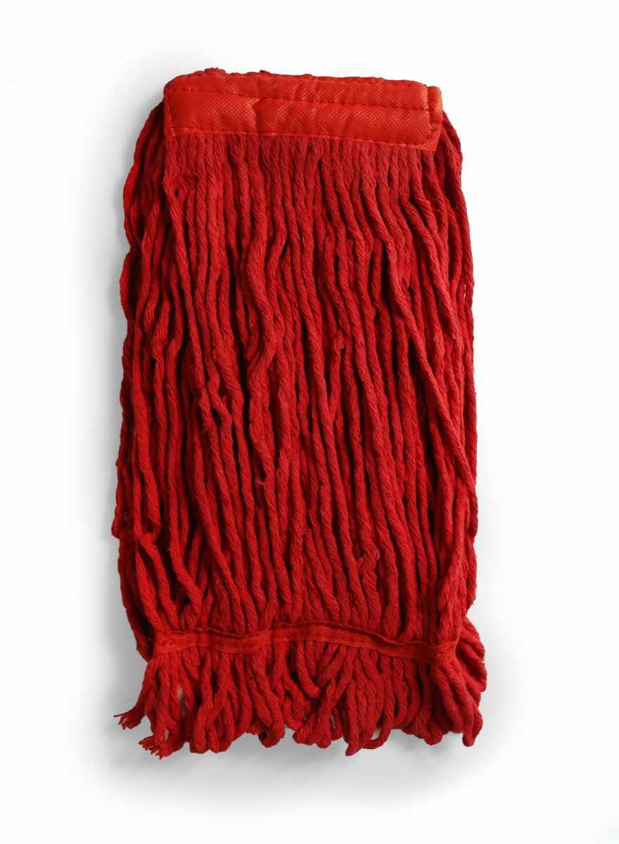 Kentucky Mop